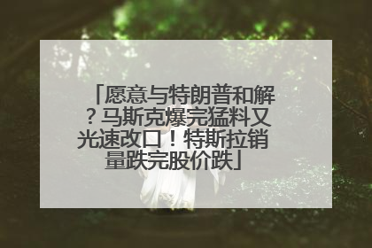 愿意与特朗普和解？马斯克爆完猛料又光速改口！特斯拉销量跌完股价跌