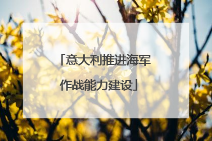意大利推进海军作战能力建设