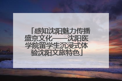 感知沈阳魅力传播盛京文化——沈阳医学院留学生沉浸式体验沈阳文旅特色
