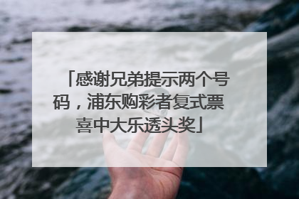 感谢兄弟提示两个号码，浦东购彩者复式票喜中大乐透头奖