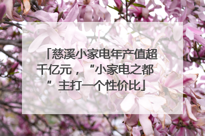 慈溪小家电年产值超千亿元，“小家电之都”主打一个性价比