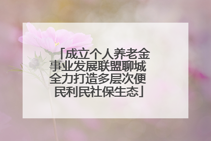 成立个人养老金事业发展联盟聊城全力打造多层次便民利民社保生态