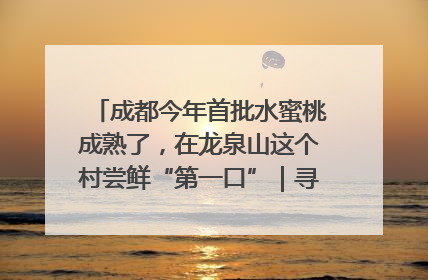 成都今年首批水蜜桃成熟了，在龙泉山这个村尝鲜“第一口”｜寻找和美乡村推荐官