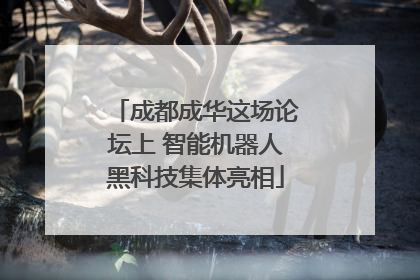 成都成华这场论坛上 智能机器人黑科技集体亮相