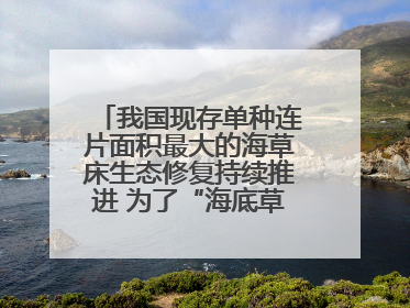 我国现存单种连片面积最大的海草床生态修复持续推进 为了“海底草原”更繁茂