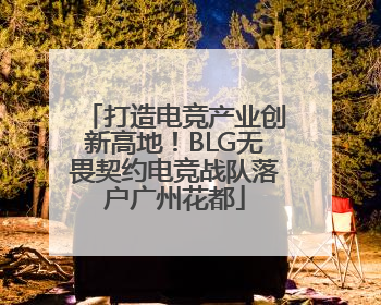 打造电竞产业创新高地！BLG无畏契约电竞战队落户广州花都