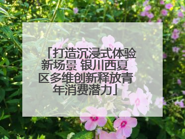 打造沉浸式体验新场景 银川西夏区多维创新释放青年消费潜力