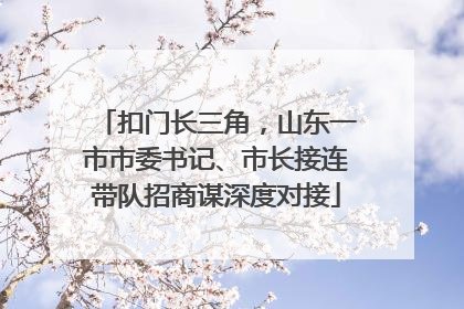 扣门长三角，山东一市市委书记、市长接连带队招商谋深度对接