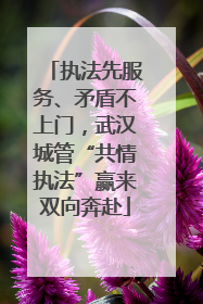执法先服务、矛盾不上门，武汉城管“共情执法”赢来双向奔赴