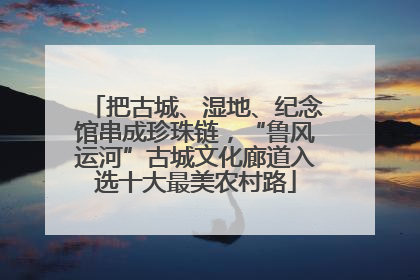 把古城、湿地、纪念馆串成珍珠链，“鲁风运河”古城文化廊道入选十大最美农村路