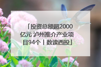 投资总额超2000亿元 泸州推介产业项目94个丨数读西投