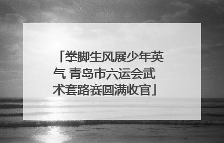 拳脚生风展少年英气 青岛市六运会武术套路赛圆满收官