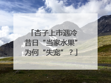 杏子上市遇冷 昔日“当家水果”为何“失宠”？