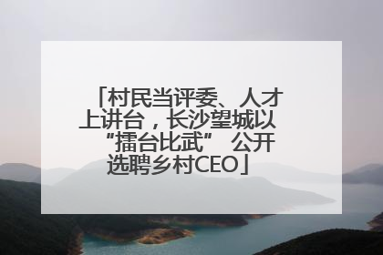 村民当评委、人才上讲台，长沙望城以“擂台比武” 公开选聘乡村CEO