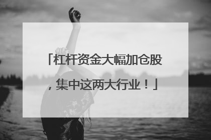 杠杆资金大幅加仓股，集中这两大行业！