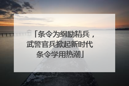 条令为纲励精兵，武警官兵掀起新时代条令学用热潮