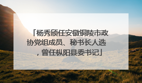 杨秀颀任安徽铜陵市政协党组成员、秘书长人选，曾任枞阳县委书记