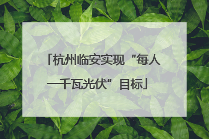 杭州临安实现“每人一千瓦光伏”目标