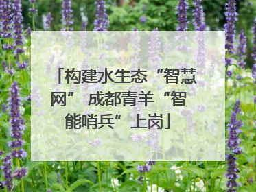 构建水生态“智慧网” 成都青羊“智能哨兵”上岗