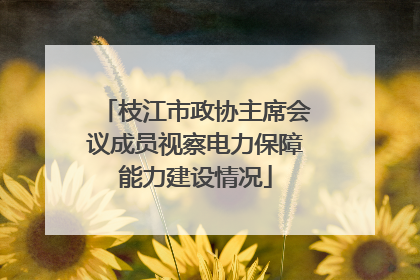 枝江市政协主席会议成员视察电力保障能力建设情况