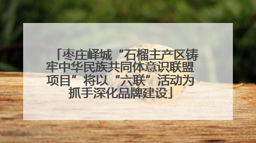 枣庄峄城“石榴主产区铸牢中华民族共同体意识联盟项目”将以“六联”活动为抓手深化品牌建设
