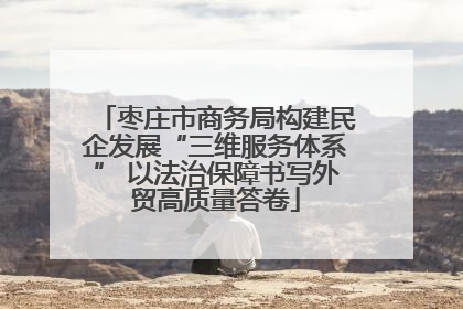 枣庄市商务局构建民企发展“三维服务体系” 以法治保障书写外贸高质量答卷