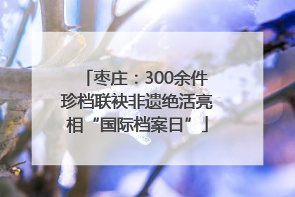 枣庄：300余件珍档联袂非遗绝活亮相“国际档案日”