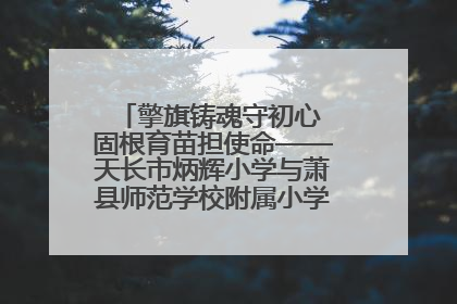 擎旗铸魂守初心 固根育苗担使命——天长市炳辉小学与萧县师范学校附属小学结对共建活动纪实
