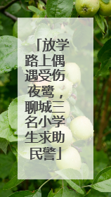 放学路上偶遇受伤夜鹭，聊城三名小学生求助民警