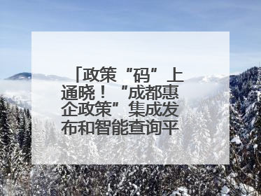 政策“码”上通晓！“成都惠企政策”集成发布和智能查询平台今日上线
