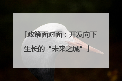 政策面对面：开发向下生长的“未来之城”