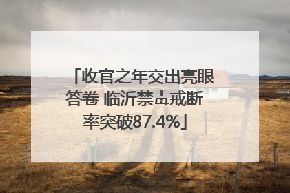 收官之年交出亮眼答卷 临沂禁毒戒断率突破87.4%