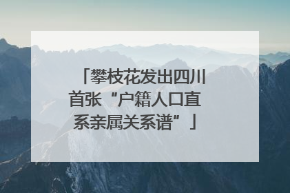 攀枝花发出四川首张“户籍人口直系亲属关系谱”