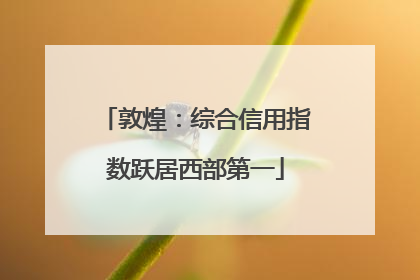 敦煌：综合信用指数跃居西部第一