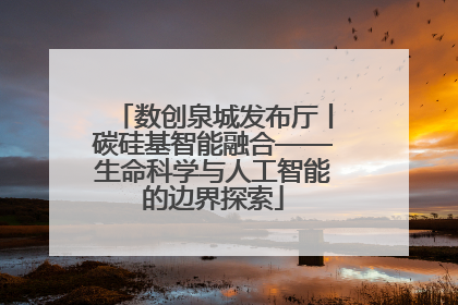 数创泉城发布厅丨碳硅基智能融合——生命科学与人工智能的边界探索
