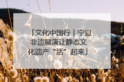 文化中国行｜宁夏 非遗展演让静态文化遗产“活”起来