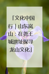 文化中国行｜山东岚山：在尧王城遗址探寻龙山文化