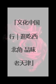 文化中国行｜逛吃西北角 品味老天津