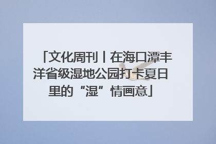 文化周刊丨在海口潭丰洋省级湿地公园打卡夏日里的“湿”情画意