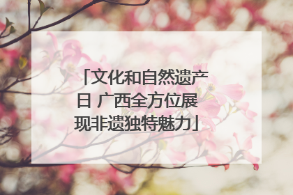 文化和自然遗产日 广西全方位展现非遗独特魅力