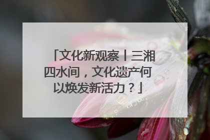 文化新观察丨三湘四水间，文化遗产何以焕发新活力？