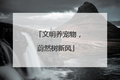 文明养宠物，蔚然树新风