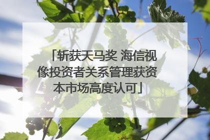 斩获天马奖 海信视像投资者关系管理获资本市场高度认可