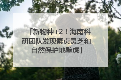 新物种+2！海南科研团队发现素贞灵芝和自然保护地壁虎