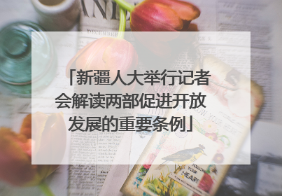 新疆人大举行记者会解读两部促进开放发展的重要条例