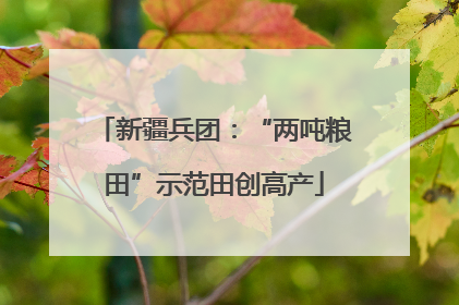 新疆兵团：“两吨粮田”示范田创高产