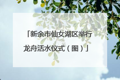 新余市仙女湖区举行龙舟活水仪式（图）