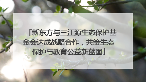 新东方与三江源生态保护基金会达成战略合作，共绘生态保护与教育公益新蓝图