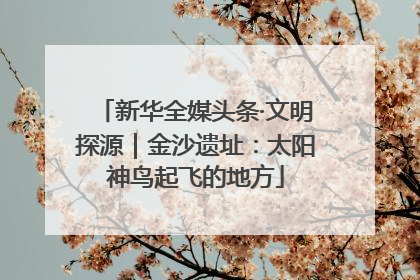 新华全媒头条·文明探源｜金沙遗址：太阳神鸟起飞的地方