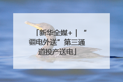 新华全媒+｜“疆电外送”第三通道投产送电